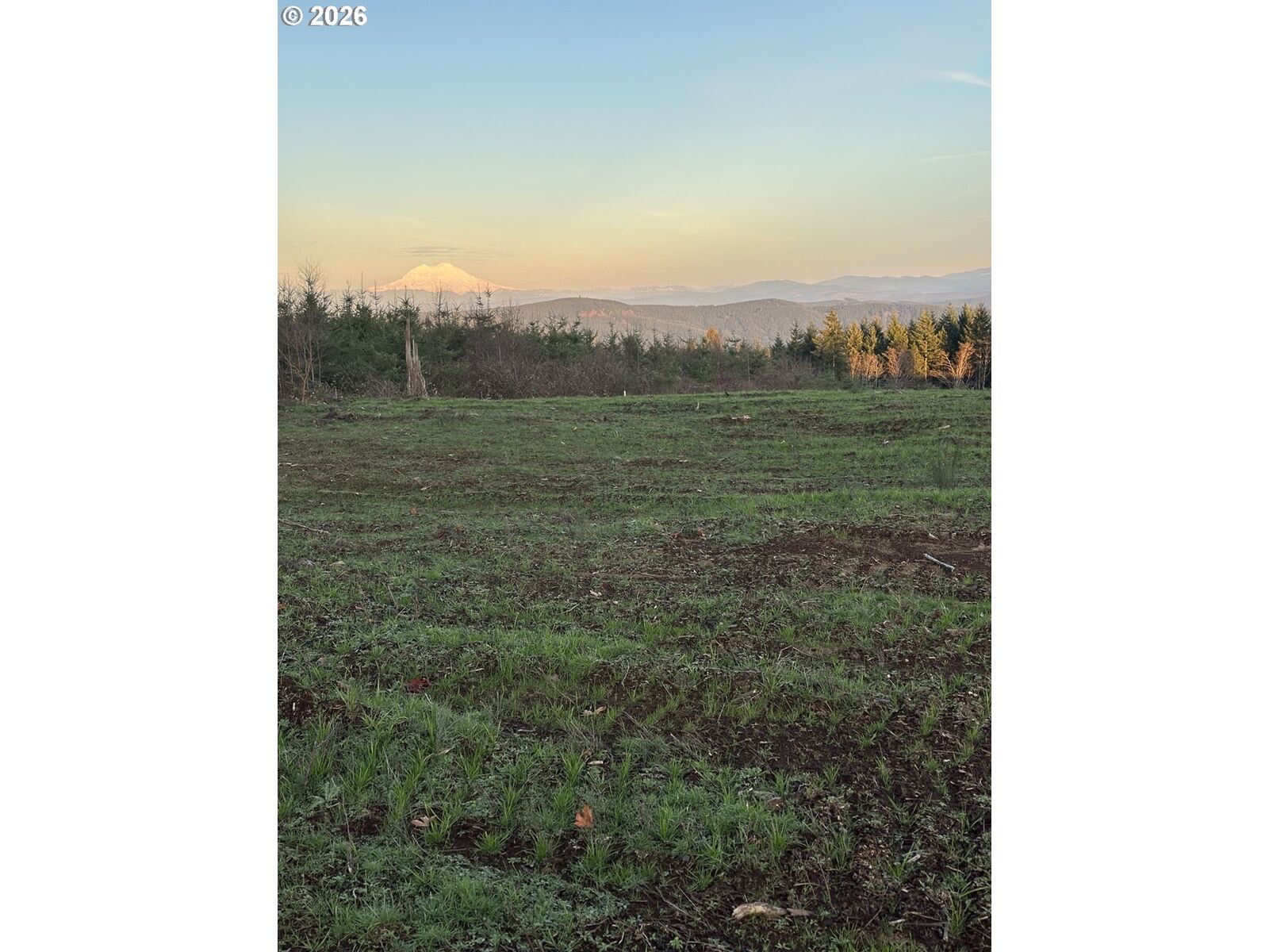 Property Photo:  228 Suncrest Dr 1  WA 98611 