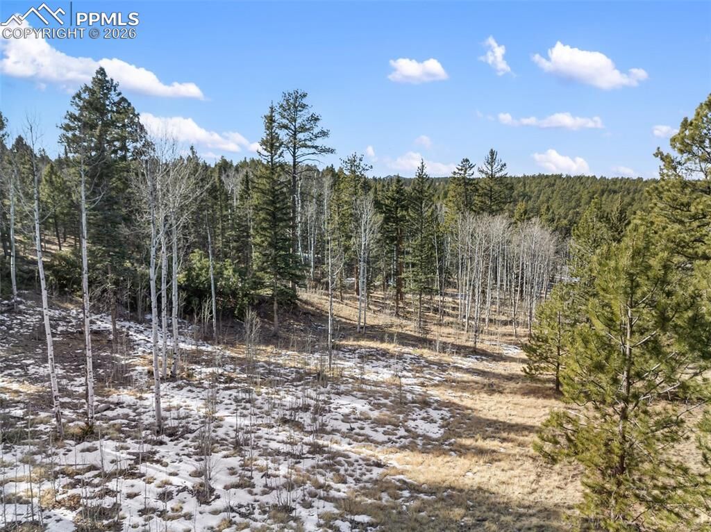 Property Photo: Lot 20A Echo Lake Drive CO 80827