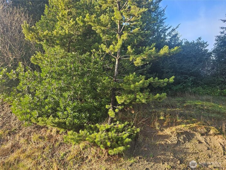 Property Photo:  276 S Wynoochee Drive SW  WA 98569 