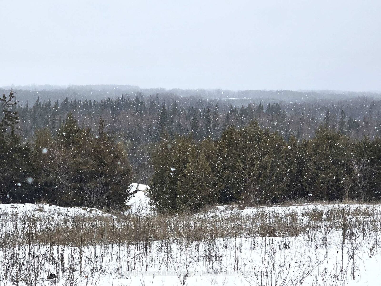 Property Photo:  0 Shannonville Road  ON K0K 1V0 