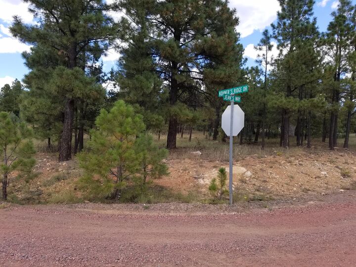 Property Photo:  4587 Jeans Way  AZ 86024 