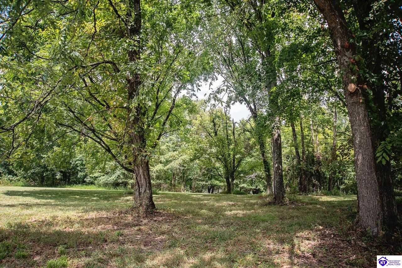 Property Photo: 13300 Scottsville Road KY 42156