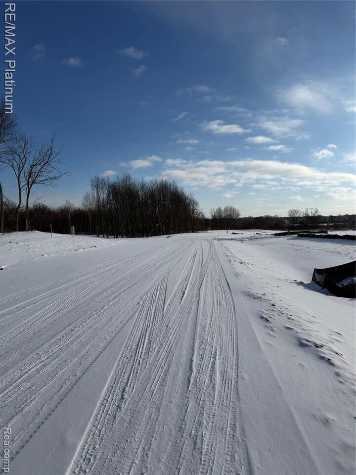 Property Photo:  V/L Lot #2 Sweetheart Lane  MI 48114 