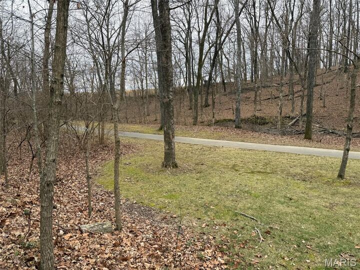 Property Photo:  2304 Brister Hill Drive  MO 63701 