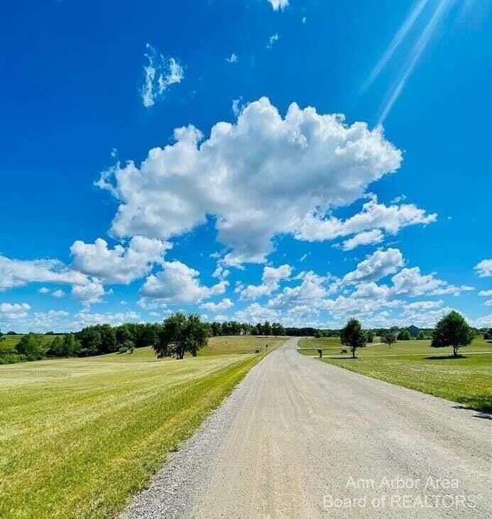 Property Photo:  17118 Nollar Lane  MI 48158 