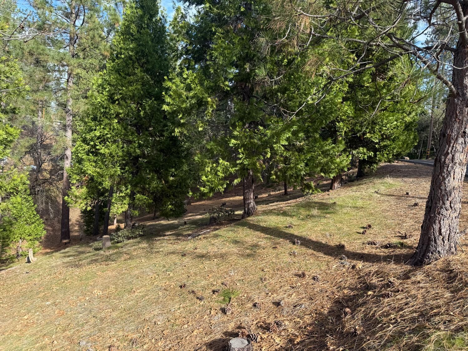 Property Photo:  12053 Breckenridge  CA 95321 