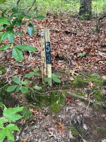 Property Photo:  10.96 Ac Paramount Trail  GA 30536 