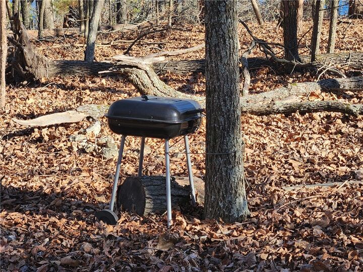 Property Photo:  Huckleberry Hills Road  AR 72756 