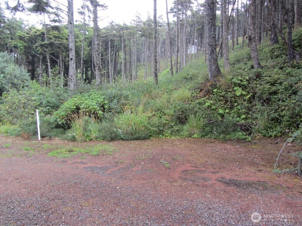 Property Photo: 29 Golden Lane WA 98571