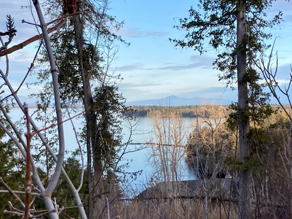 Property Photo: 00 Wood Cliff Drive NY 12901