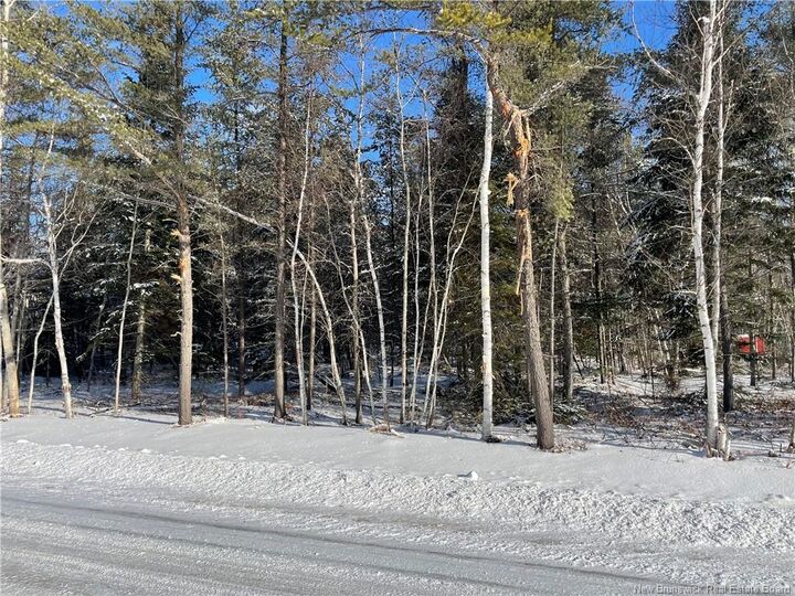 Lot 74-17 Honey Street — photo 1
