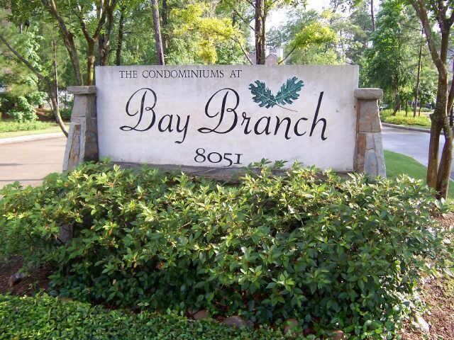 Property Photo: 8051 Bay Branch Drive 332 TX 77382