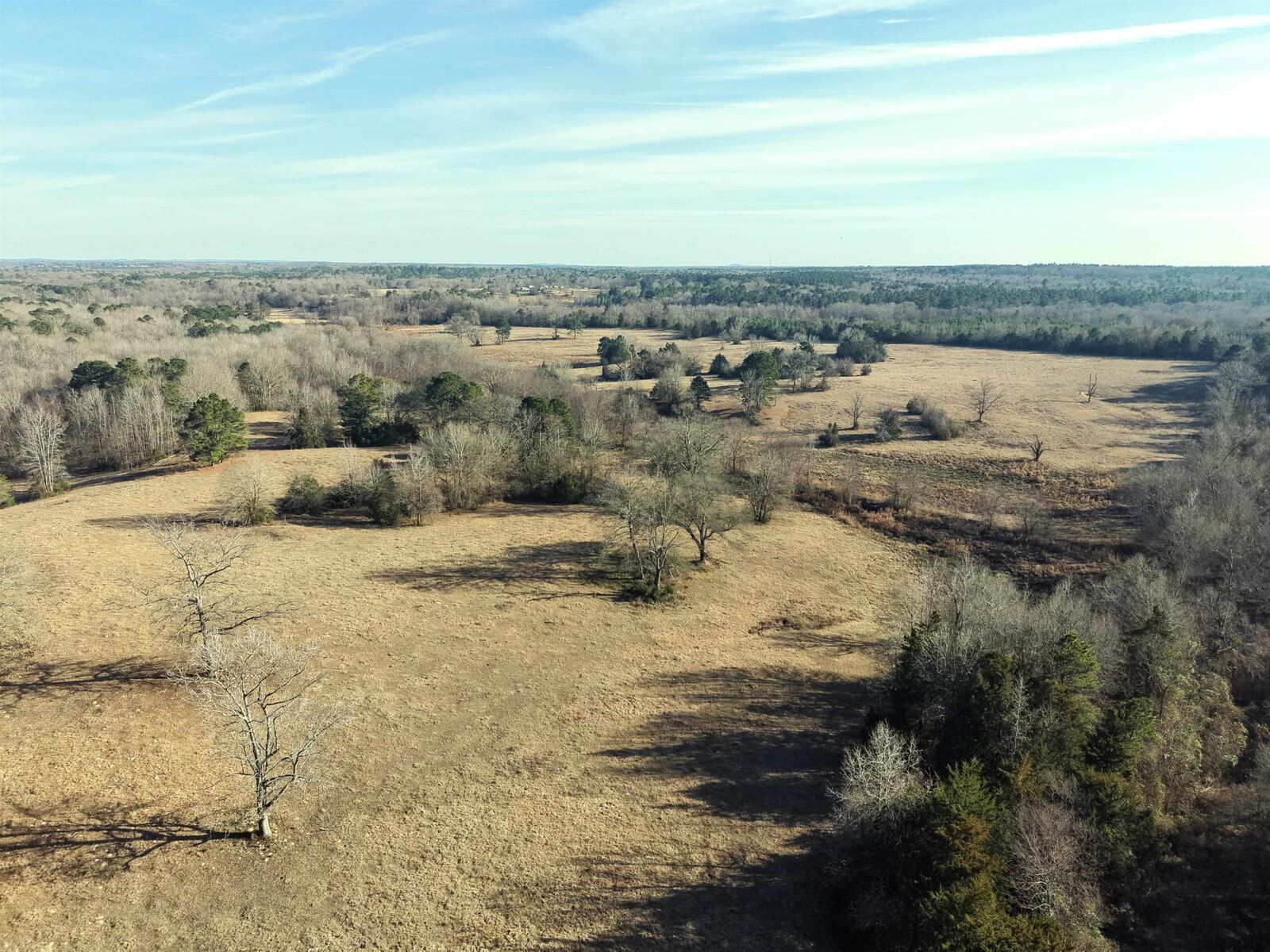Property Photo: Tbd Squirrel Rd TX 75686