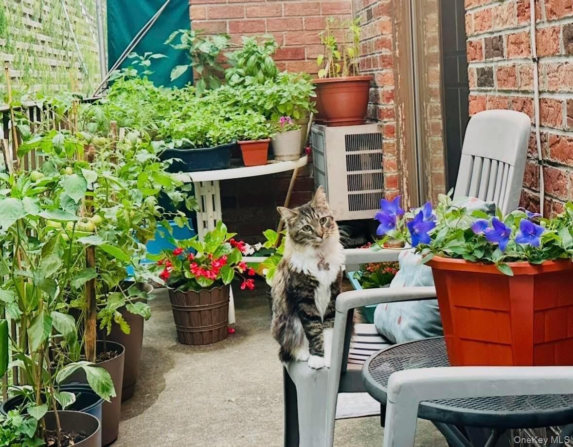 Property Photo: 6607 242nd Street 13D NY 11362