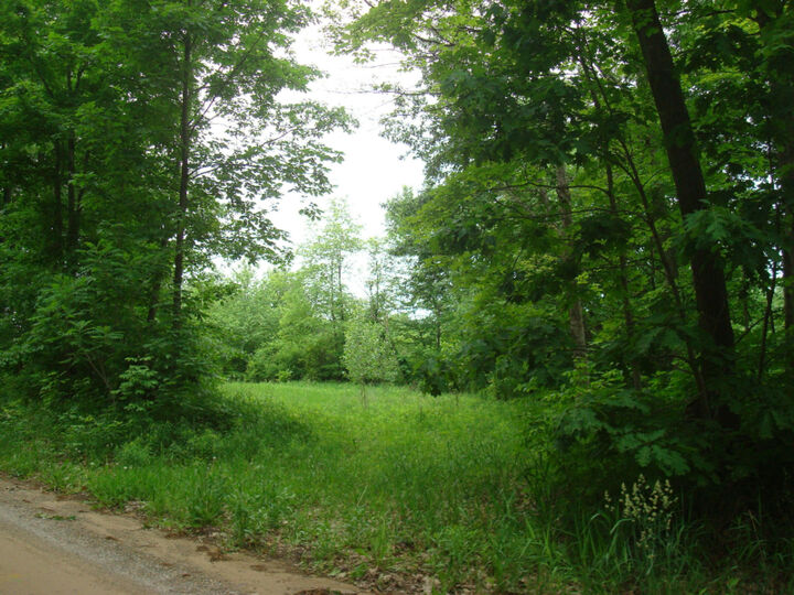 Property Photo:  0 E Bear Road  MI 49242 