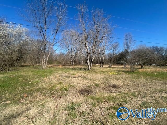 Property Photo:  125 Riverdale Drive  AL 35754 