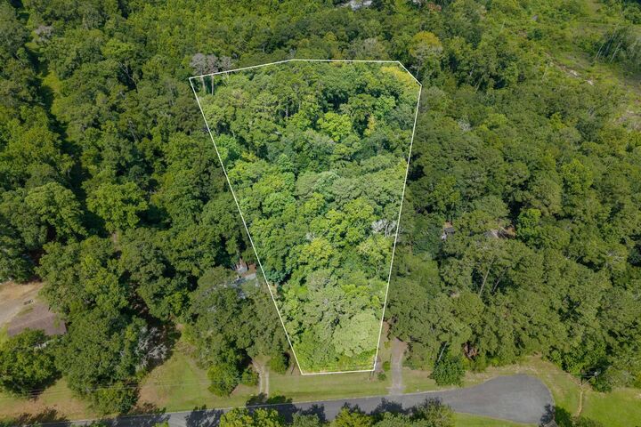 Property Photo:  X Millwood Drive  FL 32333 