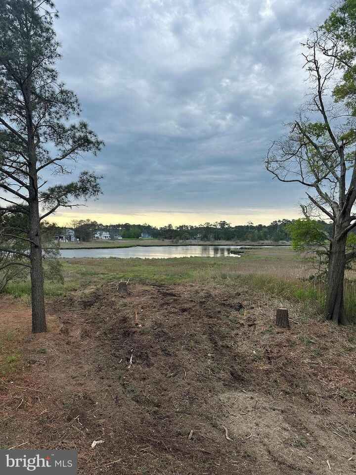 Property Photo:  10112 Sweet As Sugar Lane  MD 21811 