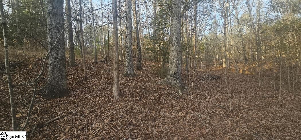 Property Photo:  0 Bishop Road  SC 29374 