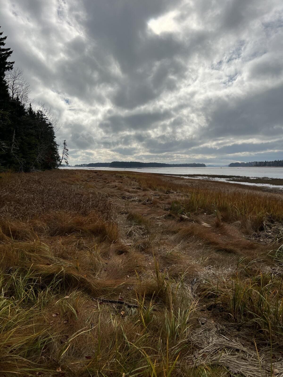 Property Photo:  Lot 181 Rays Point Road  ME 04658 