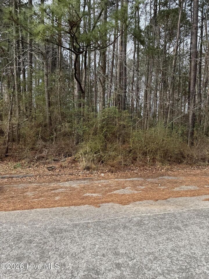 Property Photo:  643 Walnut Drive  NC 28540 