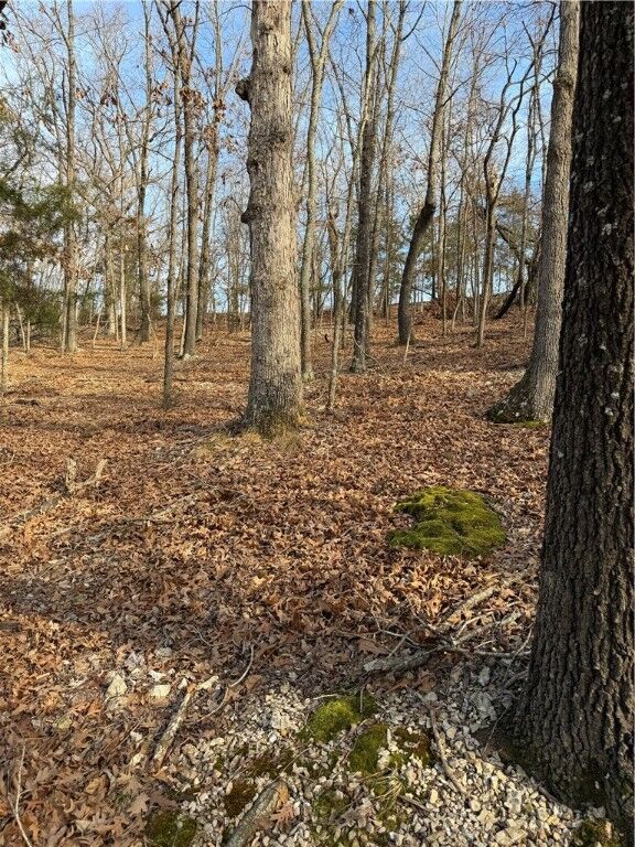 Property Photo:  Lot 76 Shady Glen Road  AR 72732 