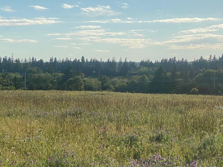 Photo de la propriété:  7 Rose Lane  PE C0A 1E0 