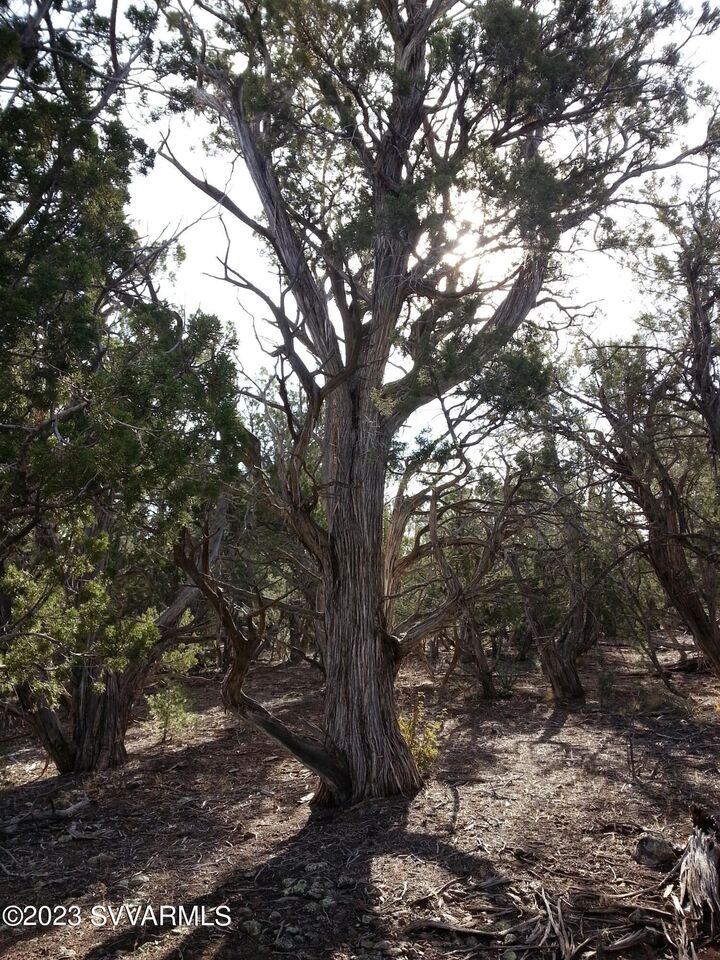 Property Photo: 00 W Running Shadow Road AZ 86337