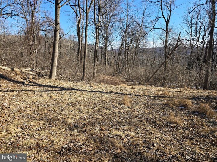 Property Photo:  0 Hill Road  PA 19512 