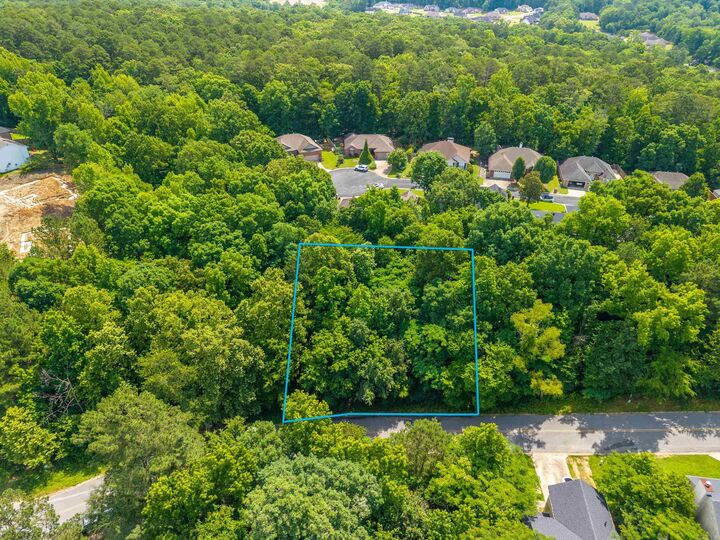 Property Photo: Lot 116 Volcanic Drive AR 72015