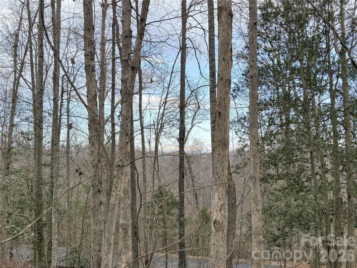 Property Photo:  0000 E Rambling Creek Drive 26  NC 28782 
