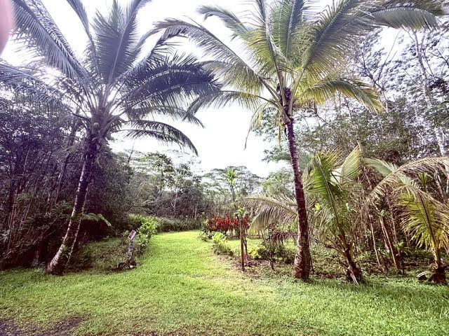 Property Photo:  Hilo Rd  HI 96778 