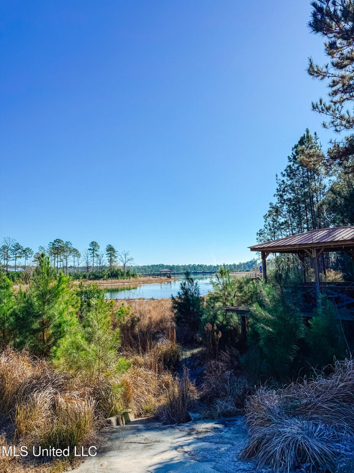 Property Photo:  1252 Lake View Drive  MS 39451 