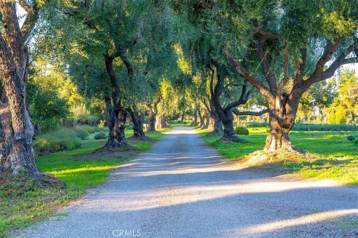 Property Photo:  2480 Roblar Avenue  CA 93441 