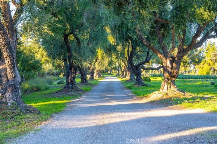 Property Photo:  2480 Roblar Avenue  CA 93441 