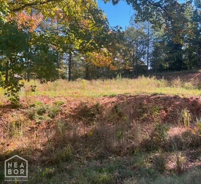 Property Photo: 3806 S Culberhouse AR 72404