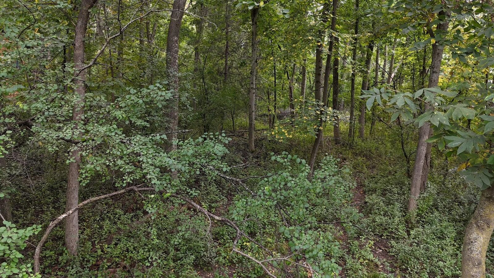 Property Photo: 308 Sommers Street N WI 54016