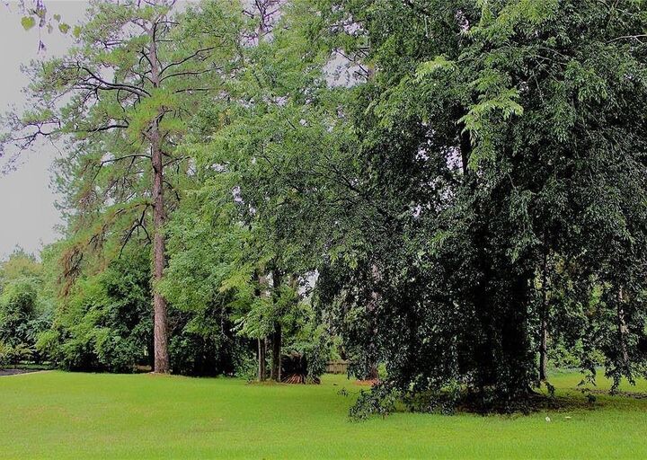 Property Photo:  149- Springs Edge Dr.  TX 77356-9049 