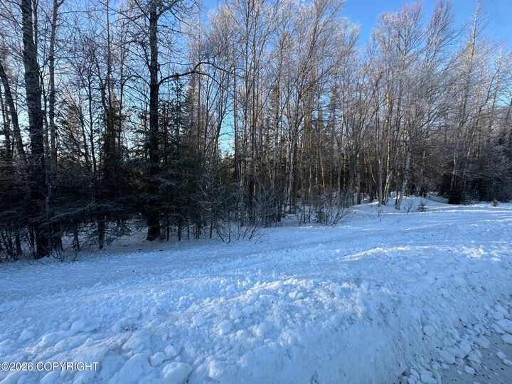 Property Photo:  50050 Kangaroo Avenue  AK 99611 