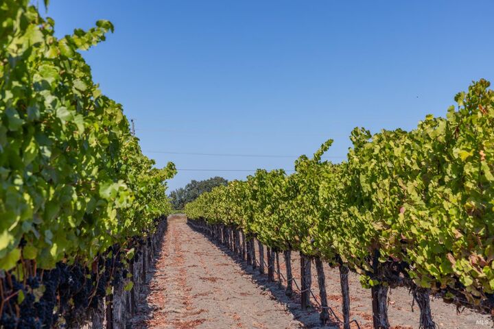 Property Photo:  3000 River Road  CA 95492 