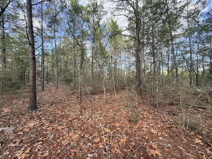 Property Photo:  Lot 2 E Violet East Lane  FL 32433 
