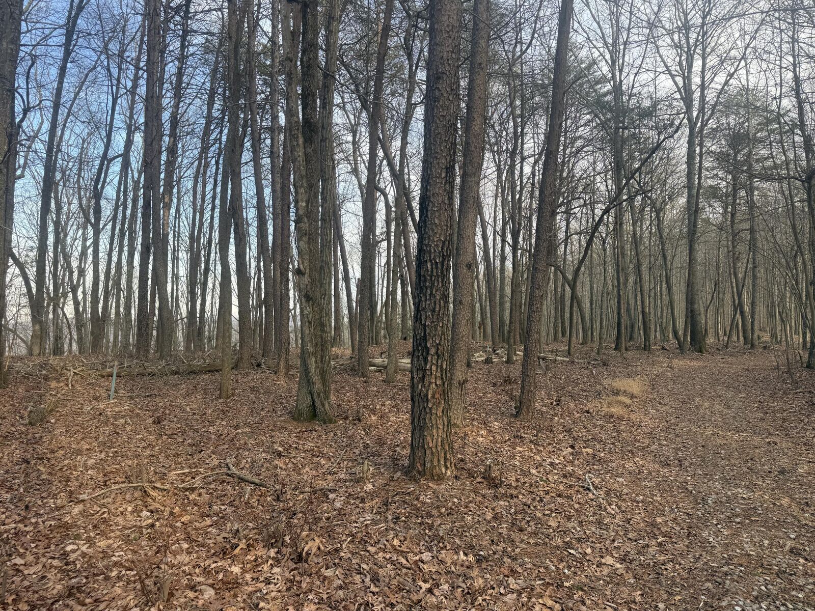 Property Photo:  0 Shivas Crest  GA 30738 