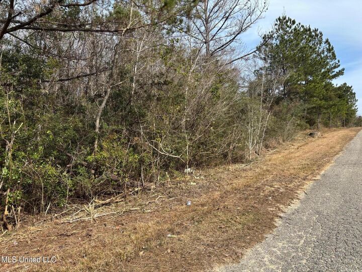 Property Photo: 00 Crestwick Street MS 39574