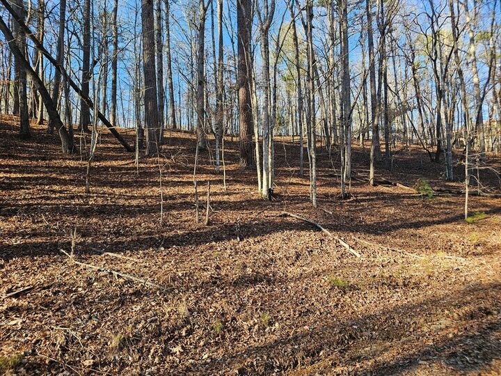 Property Photo:  .76 Pasha Drive  GA 30540 