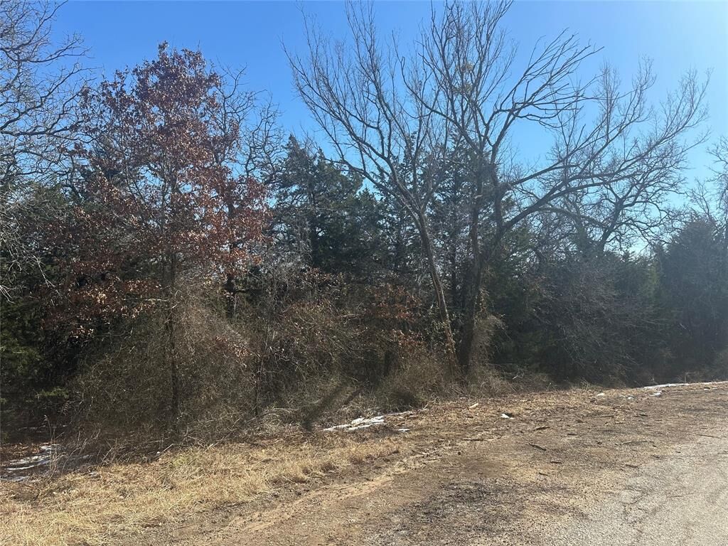Property Photo:  00 Land Of Goshen Road  TX 76082 