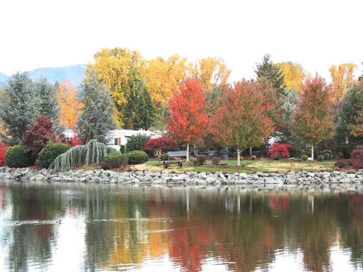 Property Photo:  303 Kingsley Drive  OR 97526 