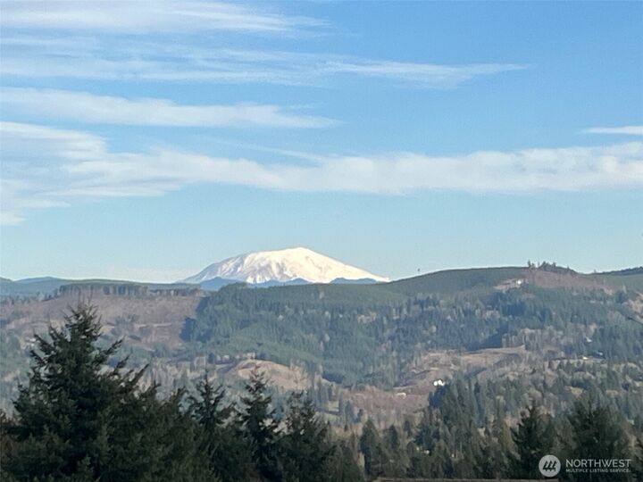 Property Photo:  275  Livingston Heights Drive  WA 98632 