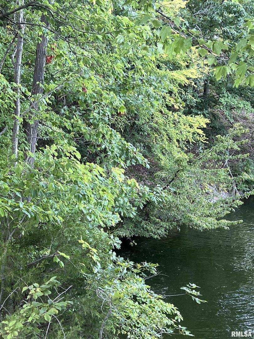 Property Photo:  000 S Lakeshore Drive  IL 62939 