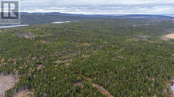 Property Photo:  0 Medalsis Pond Road  NL A1K 1C9 