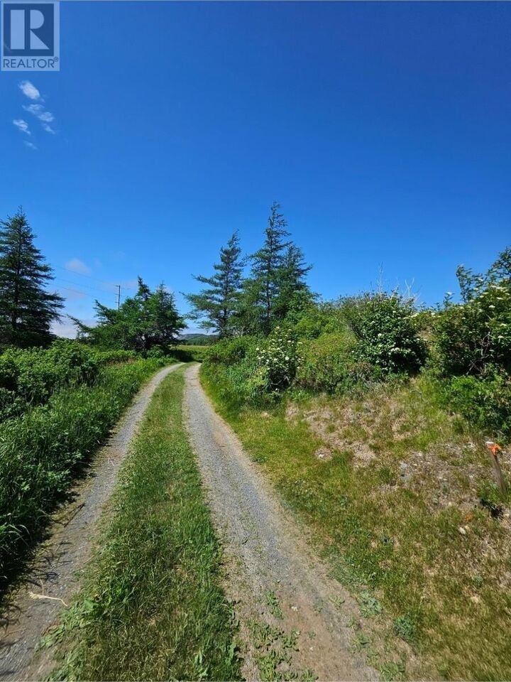 Property Photo:  O Uc Cemetery  NL A0A 1G0 